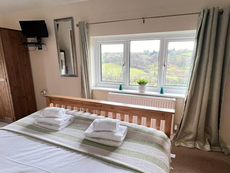 Upper Caerfaelog Holiday home *